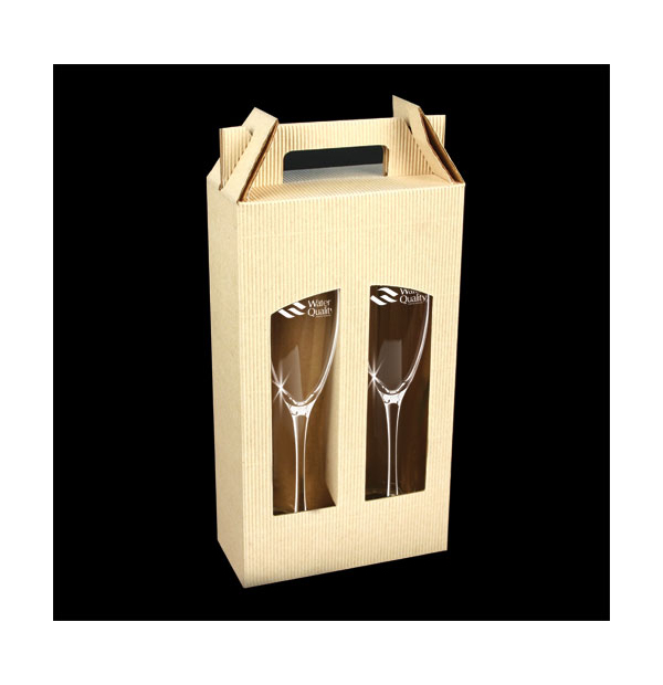 ensemble de 2 coupes de champagne